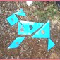 Nous avons reconstitué un lapin en TANGRAM avec les formes que nous avons trouvées dans la forêt.